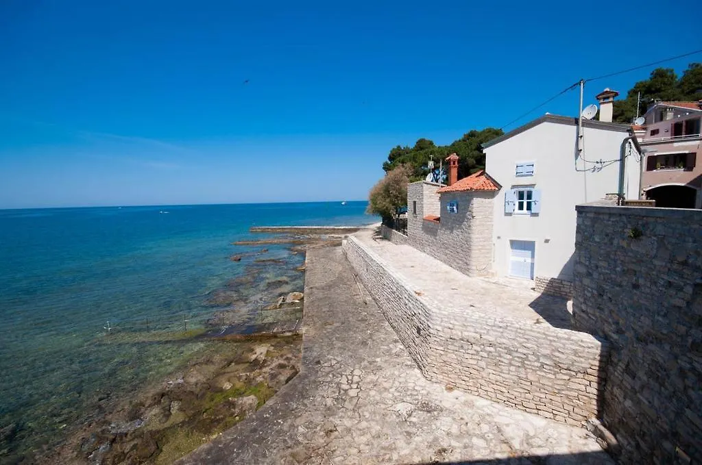 Apartment The Green House - 20M From The Beach Novigrad